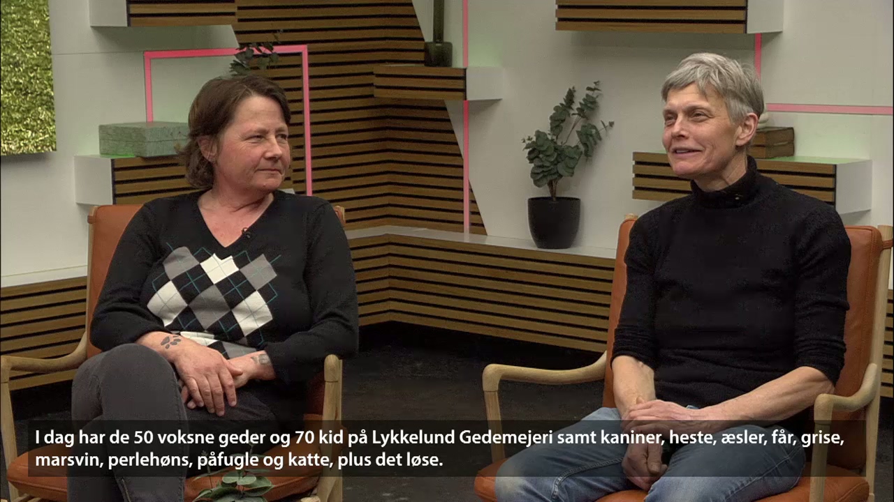 Mellem os - Lene Schrøder og Lene Mortensen, Lykkelund Gedemejeri